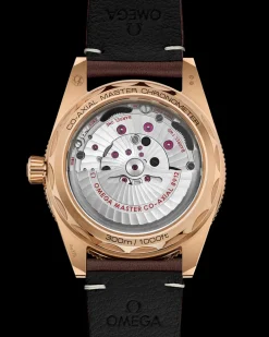 41 mm, Bronze Gold mit Lederarmband