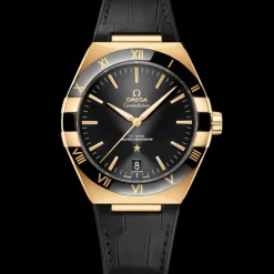 41 mm, Gelbgold mit Lederarmband