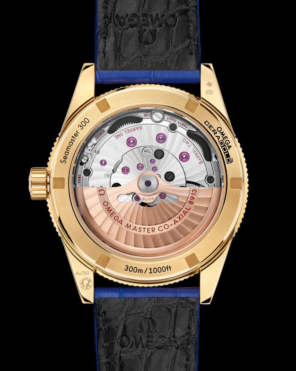 41 mm, Gelbgold mit Lederarmband