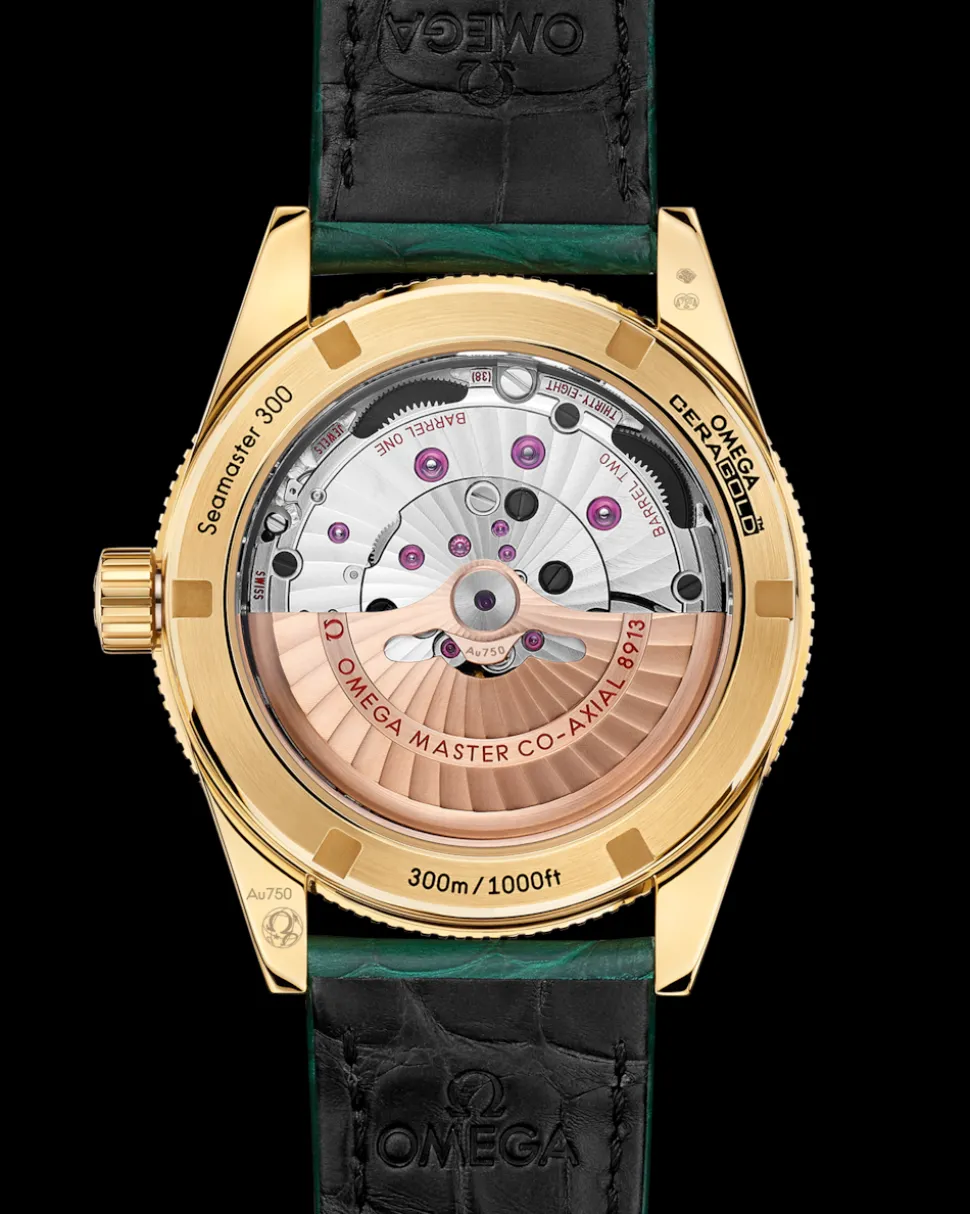 41 mm, Gelbgold mit Lederarmband