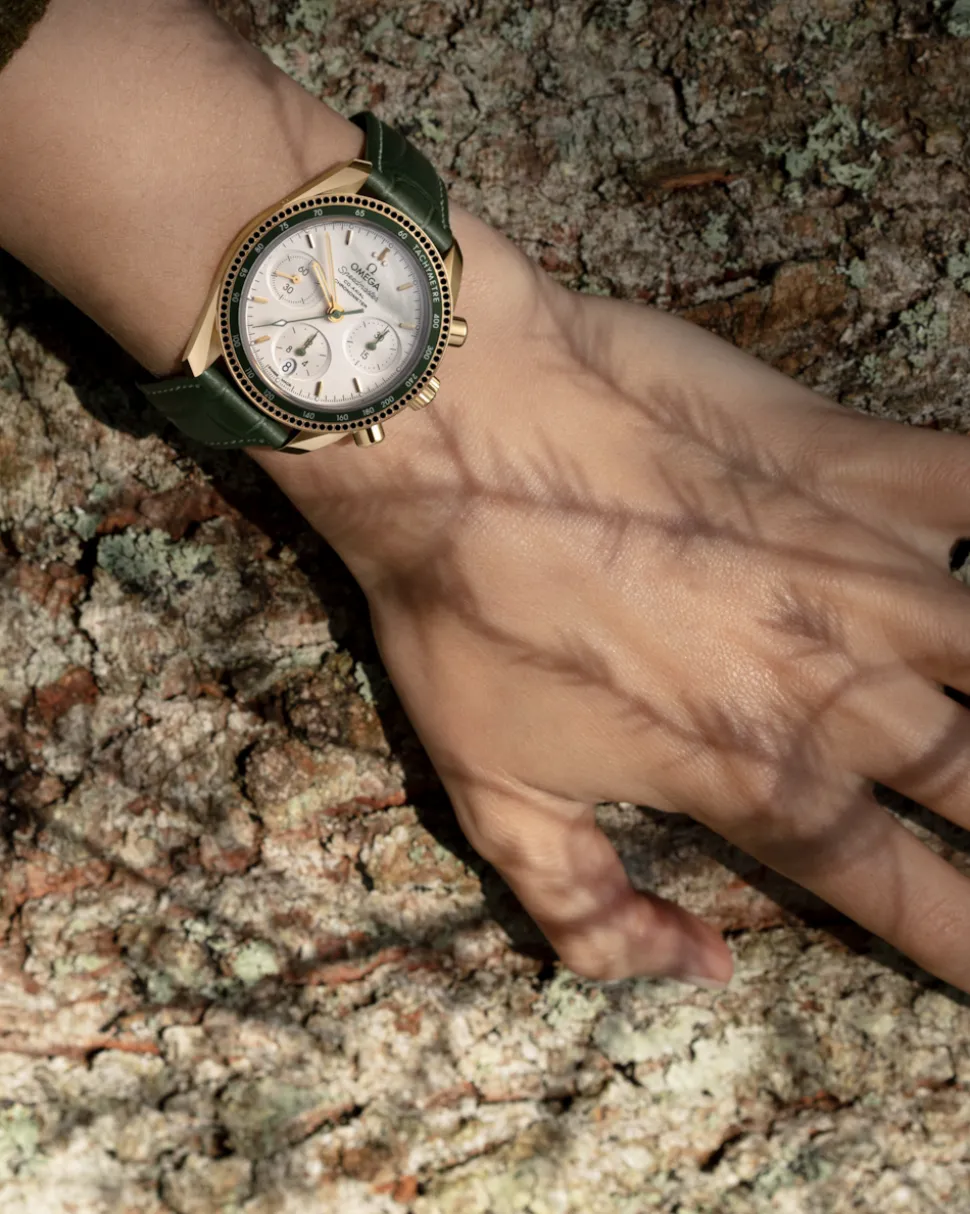 38 mm, Gelbgold mit Lederarmband