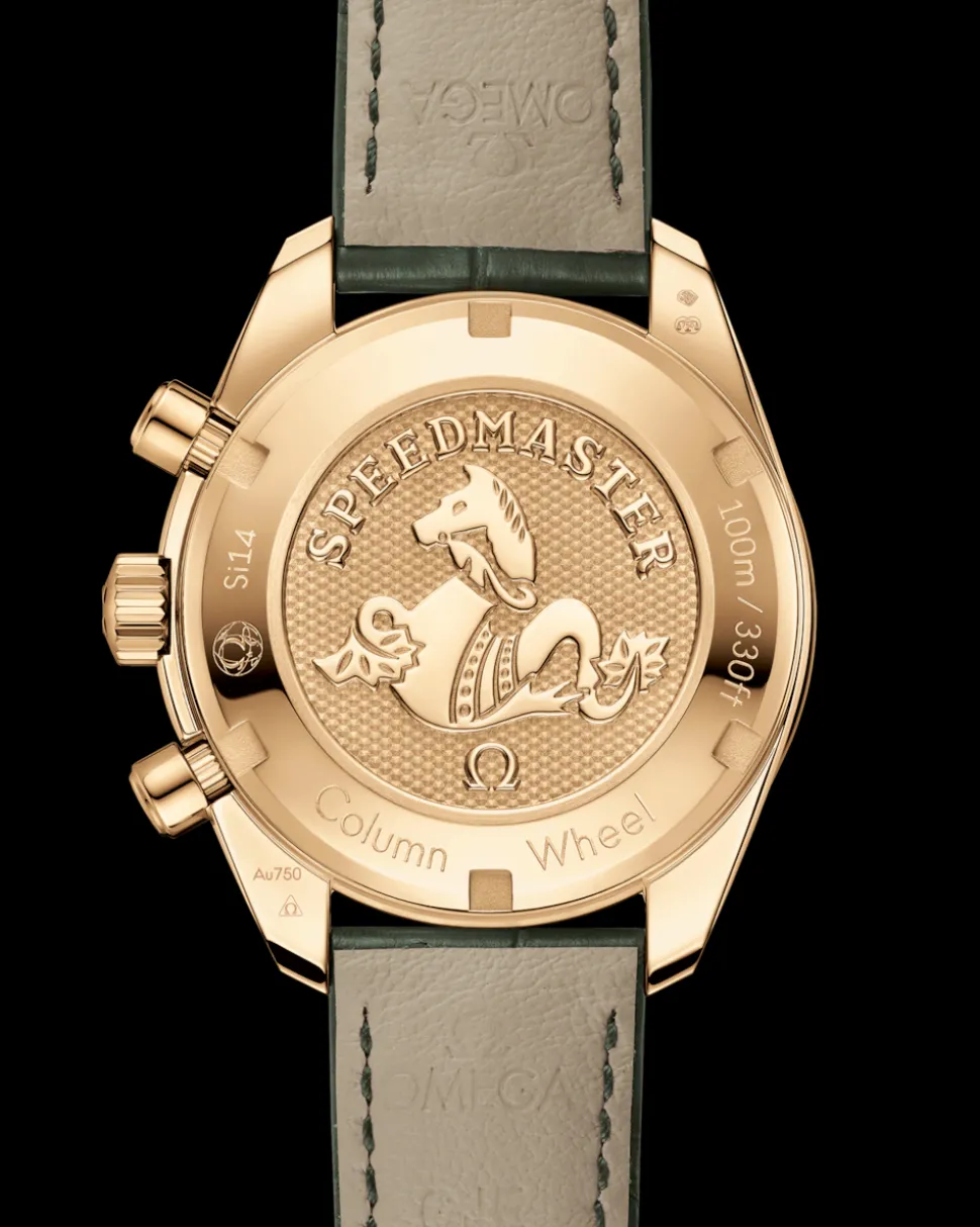 38 mm, Gelbgold mit Lederarmband