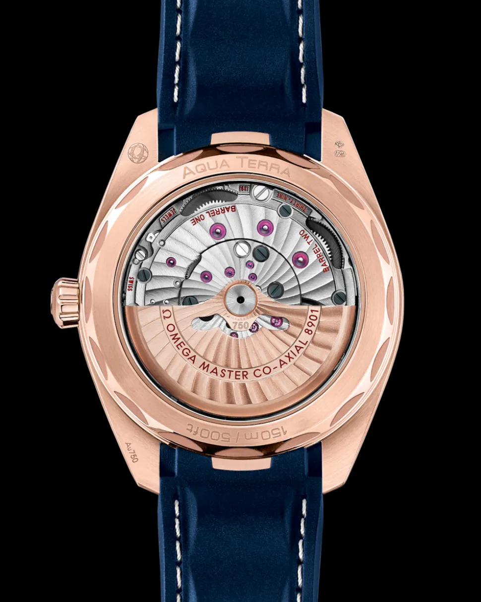 41 mm, Sedna™‑Gold mit Kautschukband