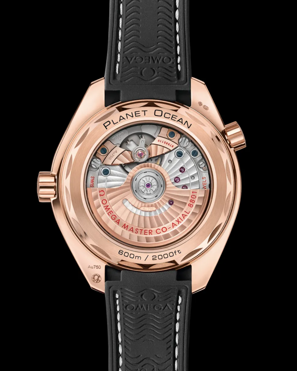 39,5 mm, Sedna™‑Gold mit Lederarmband mit Innenseite aus Kautschuk