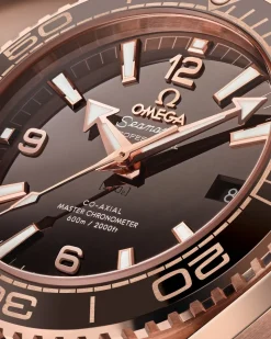 39,5 mm, Sedna™‑Gold mit Lederarmband mit Innenseite aus Kautschuk