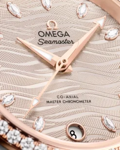 34 mm, Stahl ‑ Sedna™‑Gold mit Lederarmband