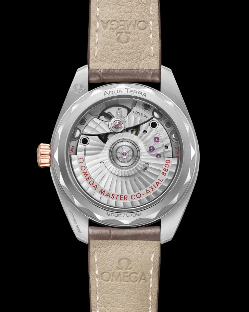 34 mm, Stahl ‑ Sedna™‑Gold mit Lederarmband