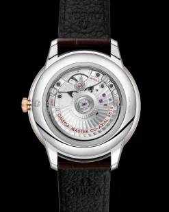 41 mm, Stahl ‑ Sedna™‑Gold mit Lederarmband