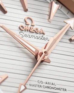 41 mm, Stahl ‑ Sedna™‑Gold mit Stahl‑ und Sedna™‑Goldband