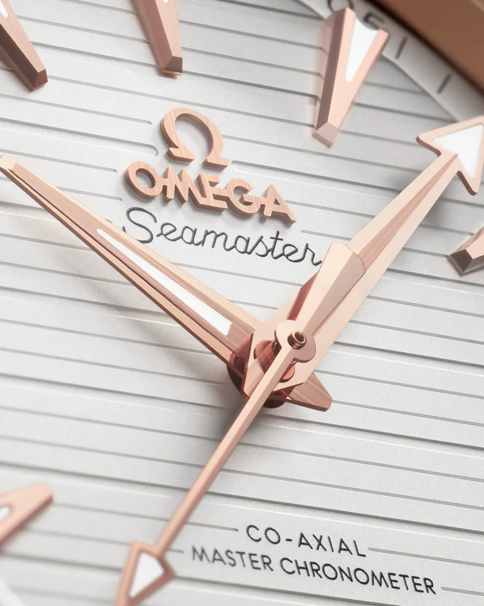 41 mm, Stahl ‑ Sedna™‑Gold mit Stahl‑ und Sedna™‑Goldband