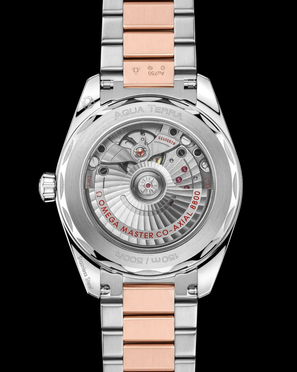 38 mm, Stahl ‑ Sedna™‑Gold mit Stahl‑ und Sedna™‑Goldband