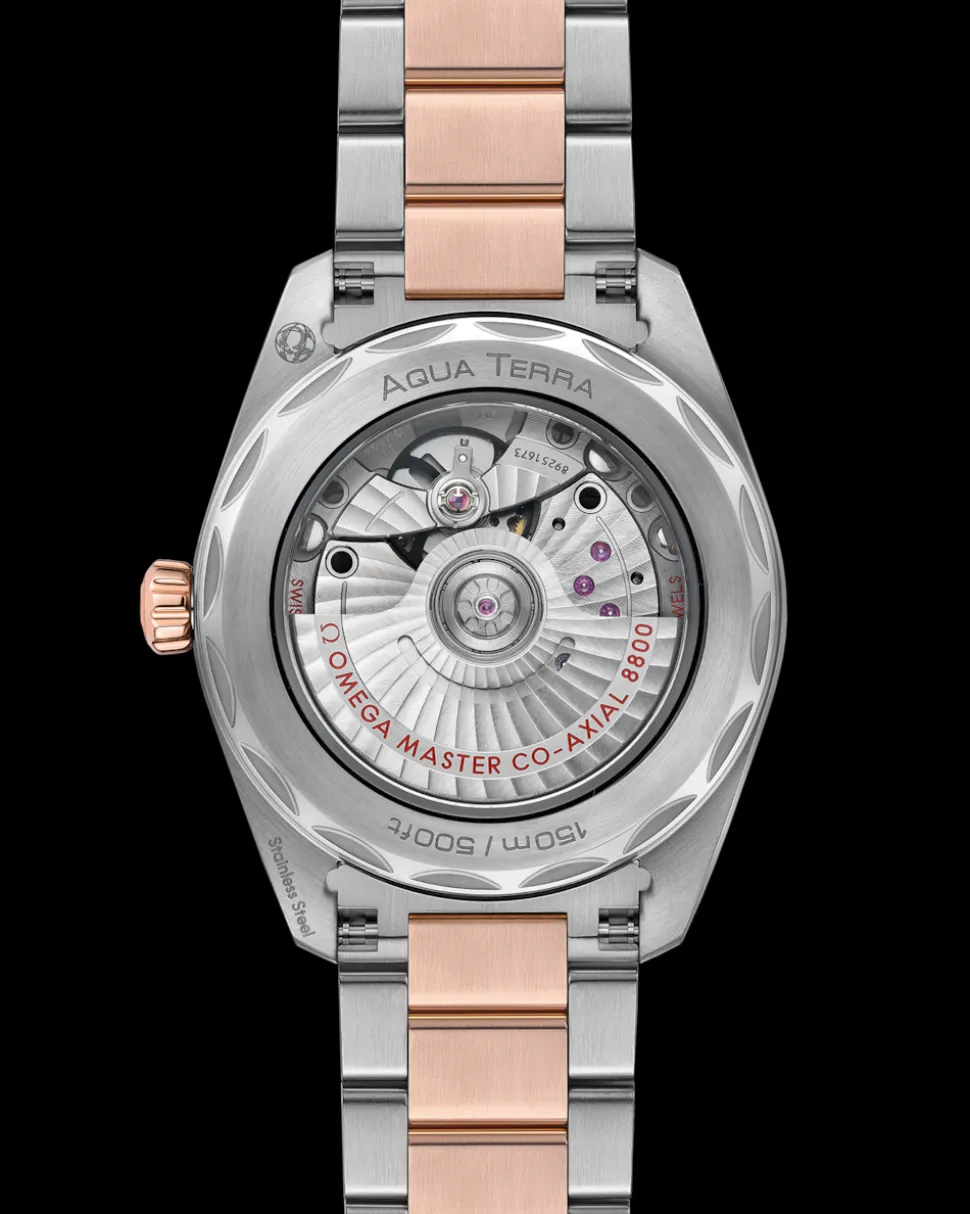 38 mm, Stahl ‑ Sedna™‑Gold mit Stahl‑ und Sedna™‑Goldband