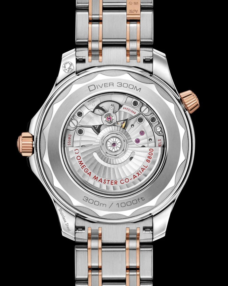 42 mm, Stahl ‑ Sedna™‑Gold mit Stahl‑ und Sedna™‑Goldband