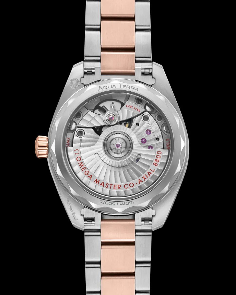 34 mm, Stahl ‑ Sedna™‑Gold mit Stahl‑ und Sedna™‑Goldband