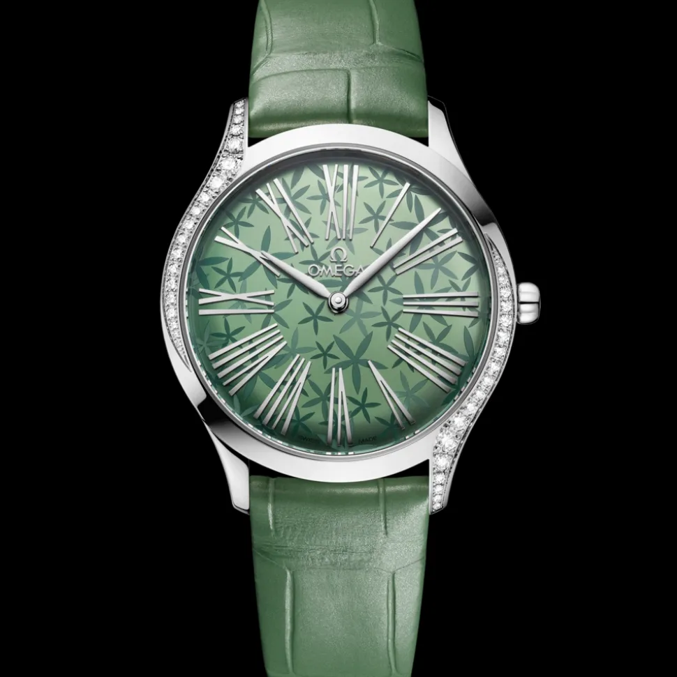 36 mm, Stahl mit Alligator