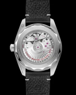 38 mm, Stahl mit Lederarmband