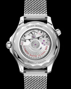 42 mm, Stahl mit Stahlarmband