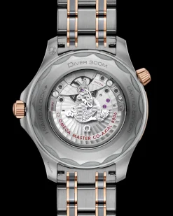 42 mm, Titan – Tantal – Sedna™‑Gold mit Titan – Tantal – Sedna™‑Gold